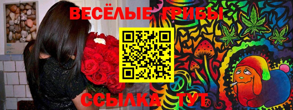 Псилоцибиновые грибы мицелий  Вход с VPN  Гусев  Псилоцибиновые грибы MAGIC MUSHROOMS 